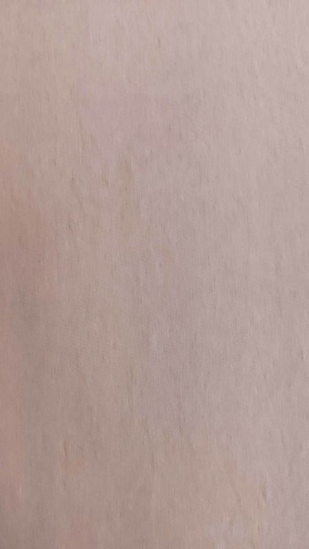 پاییزه اوی شو اسکوبا 040626 کرم تیره رنگ